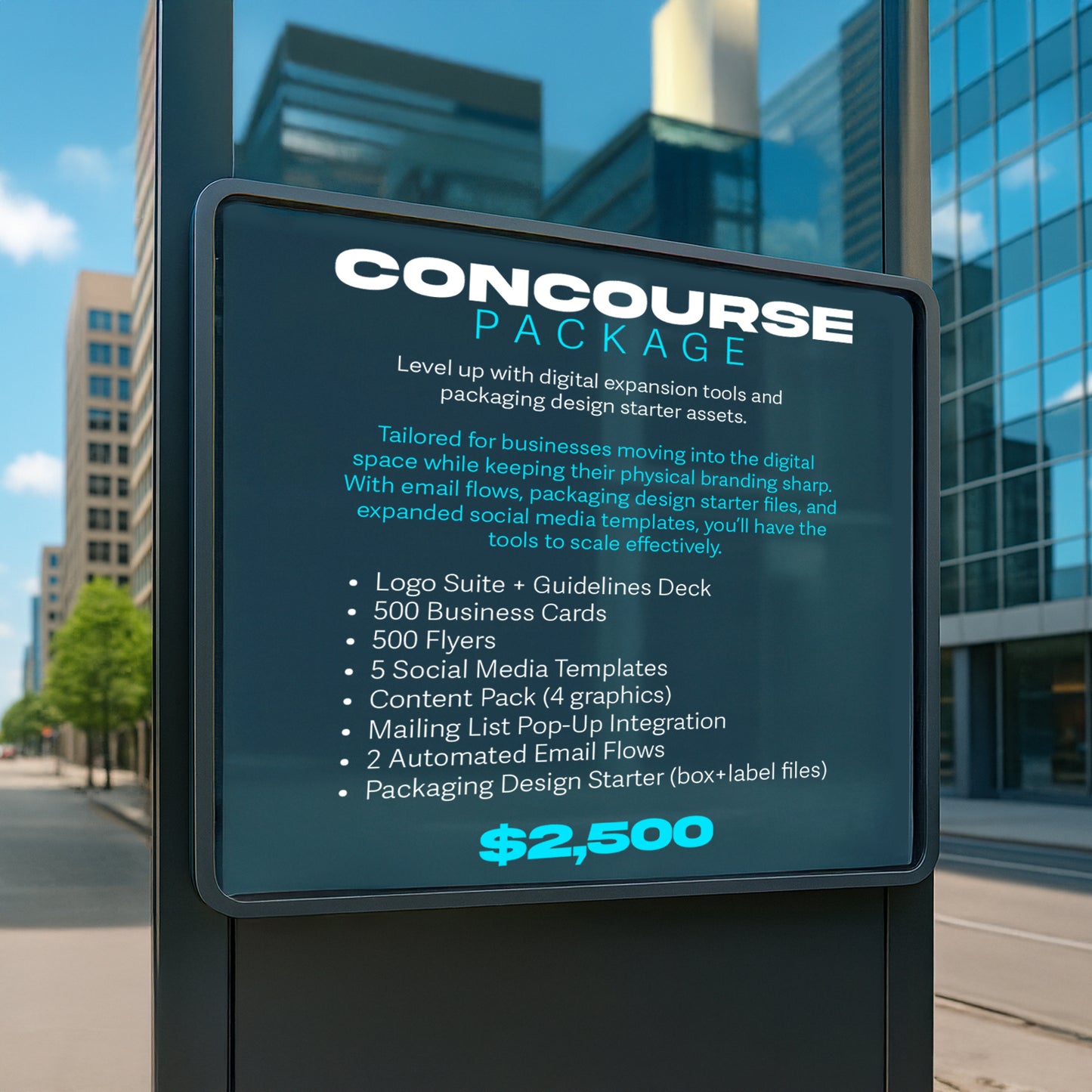 Concourse Digital Expansion & Packaging Package
