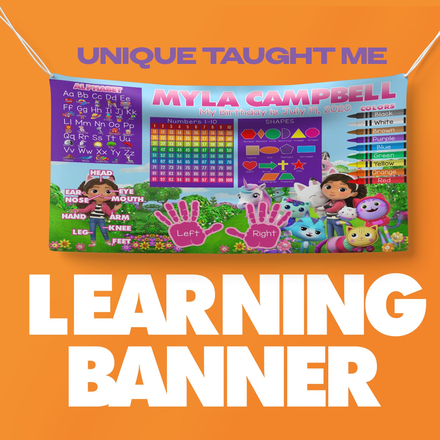 Learning Binder, Banner and Bundle